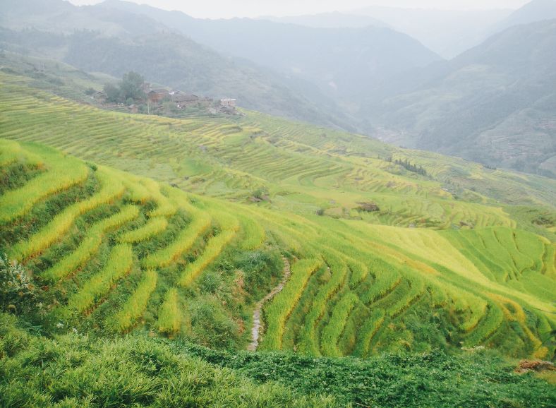 龙脊梯田七星伴月是什么意思,龙脊梯田七星伴月