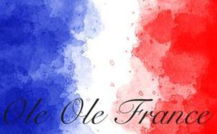 白本怎么申请法国签证,去过法国再次申请法国签证被拒