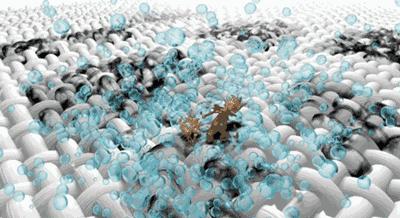 突破想象，智领未来，奇帅2019新品颠覆洗衣体验