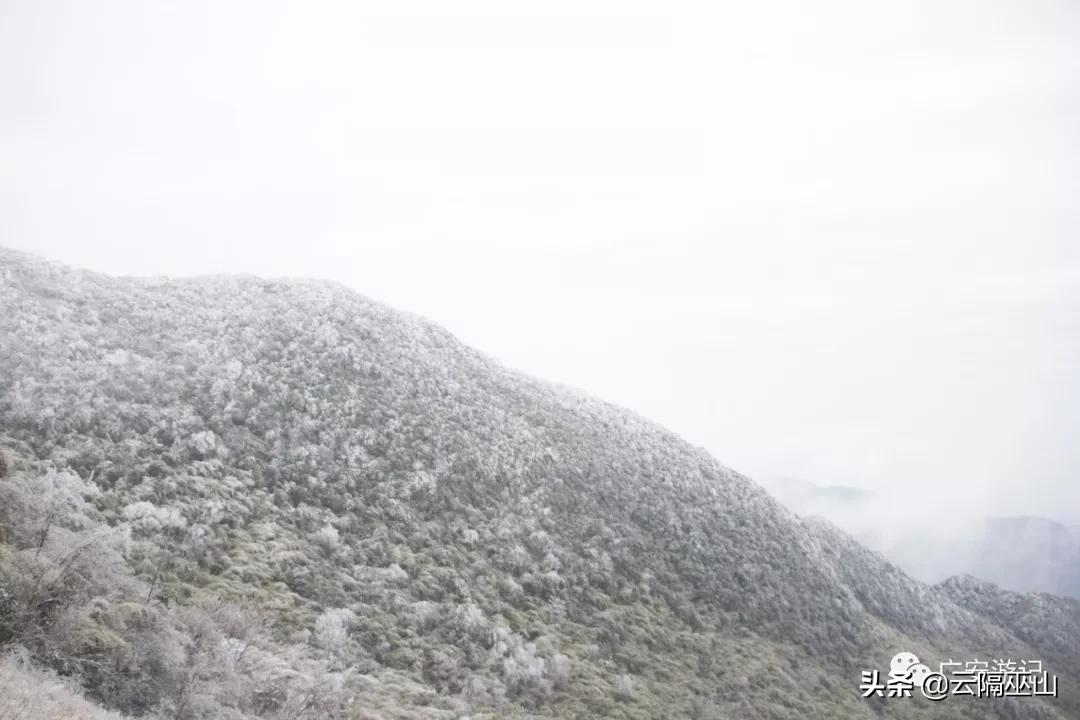 四川广安：2020华蓥山上第一场雪，小伙伴们准备好玩雪了吗？