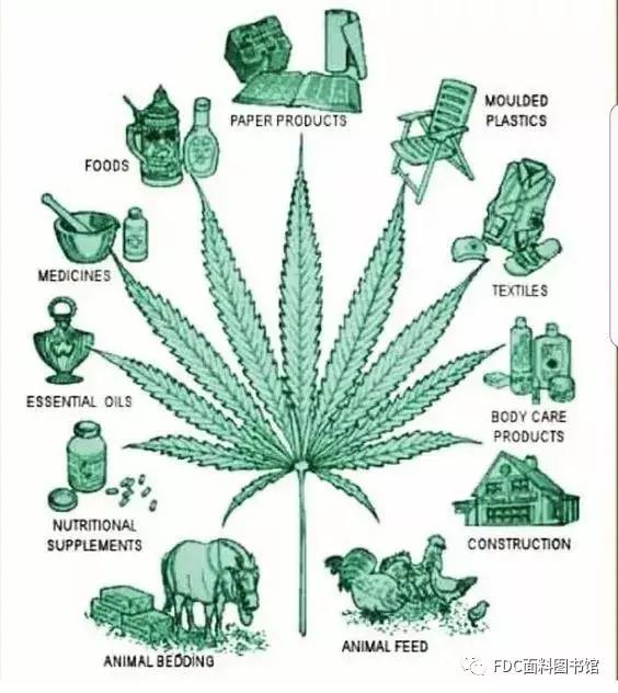 能用来制作面料的植物知多少？（下）