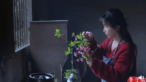 每日春花|野花（二）：野花含笑深丛开，满地清芳别样春