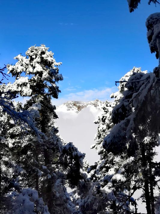 九寨沟一日游感悟,九寨沟和黄龙旅行美景