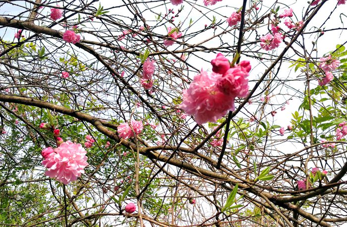 美丽的南湖公园夜景,南湖风景区真的太美了
