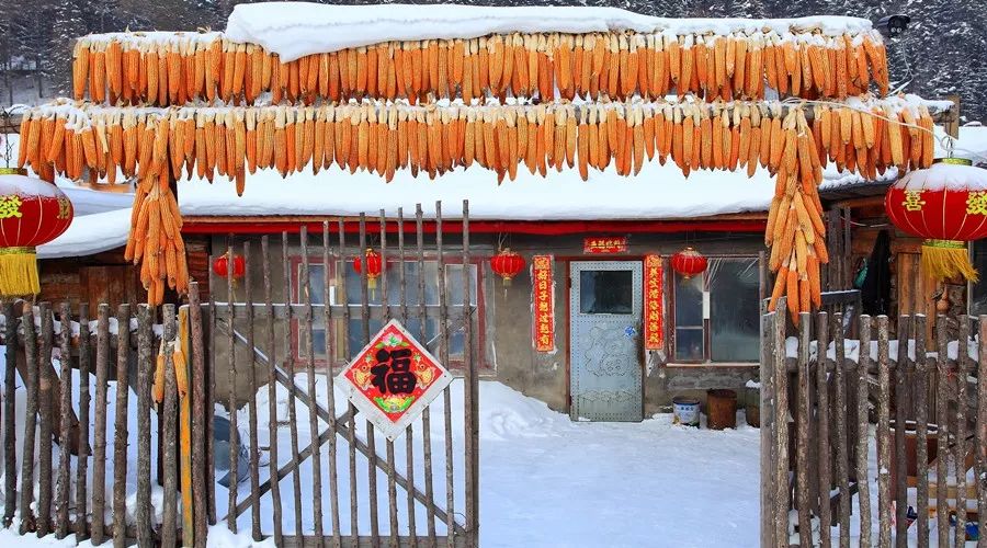 为什么东北人这么有趣,为什么东北人那么好玩