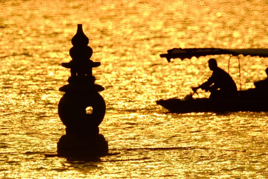 秋季杭州西溪湿地游玩攻略,杭州半日游西溪景区攻略