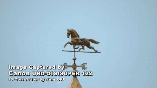 怎么知道网上的视频是不是专业摆拍?