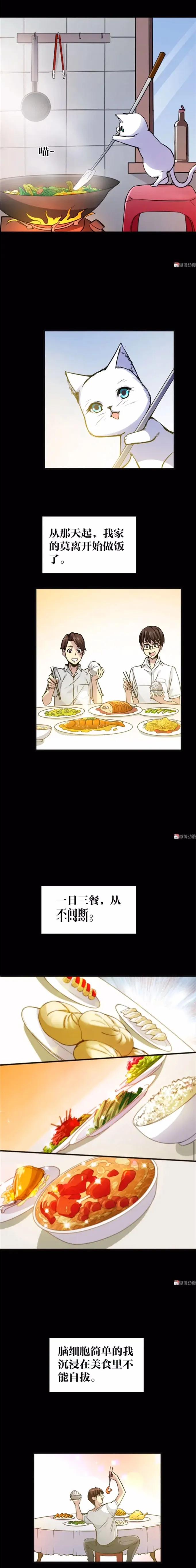 猫咪拟人化漫画,天秤座漫画猫咪