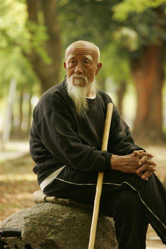 王映海戴氏心意拳精要,戴氏心意拳精武门