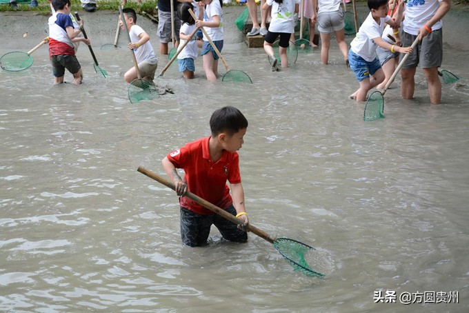 这个夏日，看这个美女如何在浙江乌村的第一百种玩法