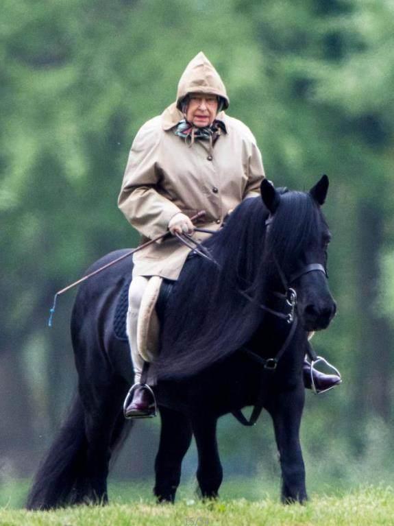 孩子学骑马锻炼哪方面,家长为什么送孩子学骑马