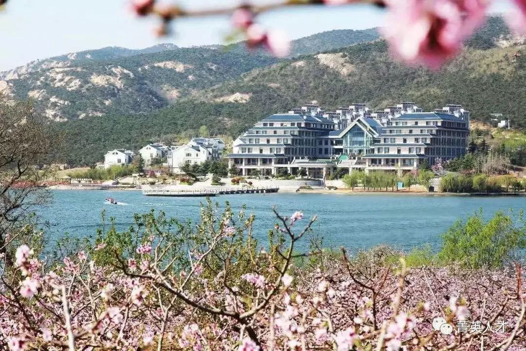 山东五征最新招聘信息,五征厂招聘