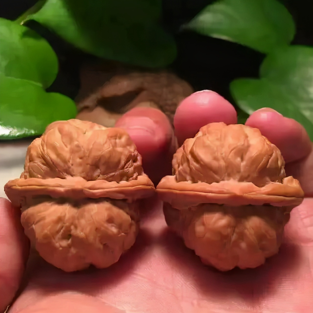 盘核桃如何快速上色,核桃上色最快的方法