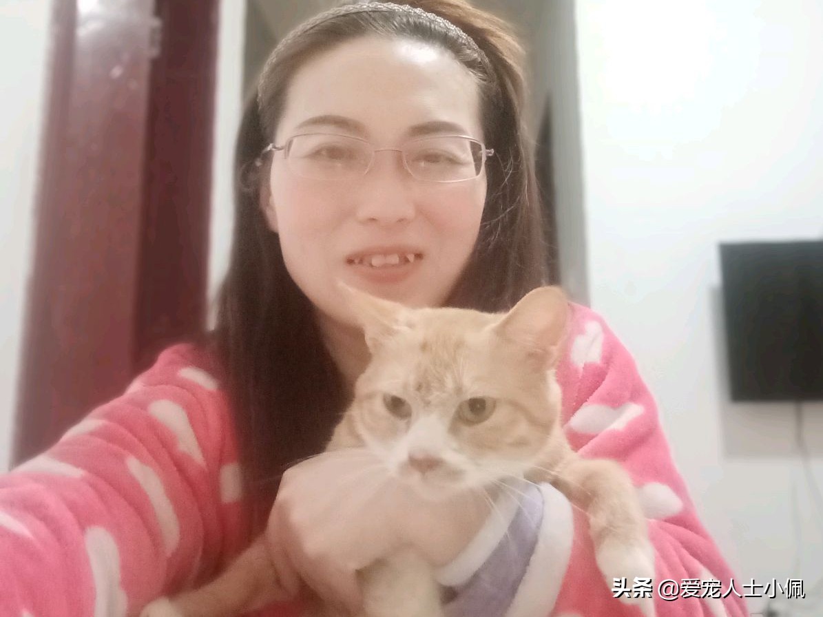 猫咪流眼泪很多其他都是正常的,猫咪为什么会无缘无故的流眼泪呢