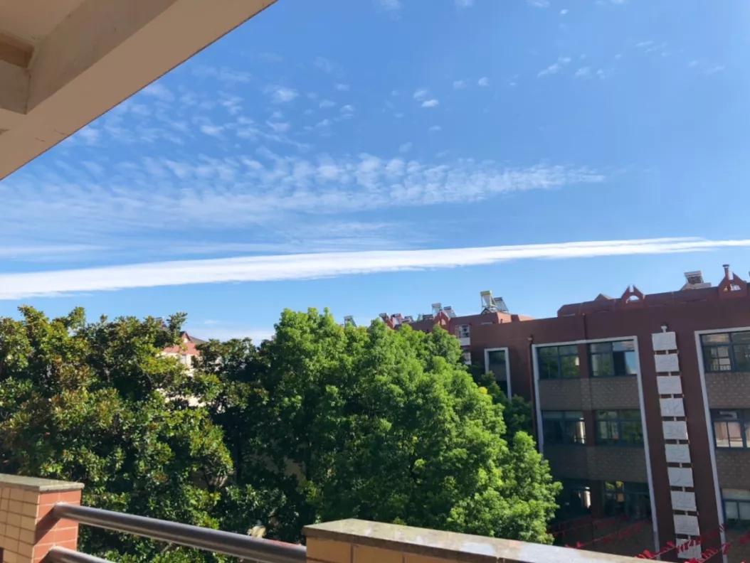 最美的风景美丽的校园,最美的风景就是校园