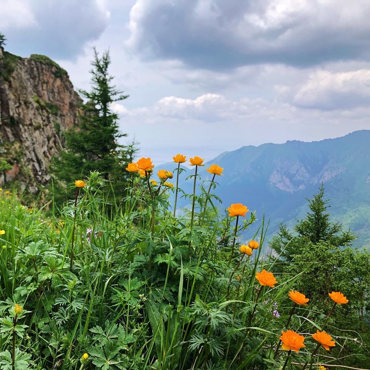 小五台山哪里进入景区,小五台山春天景色