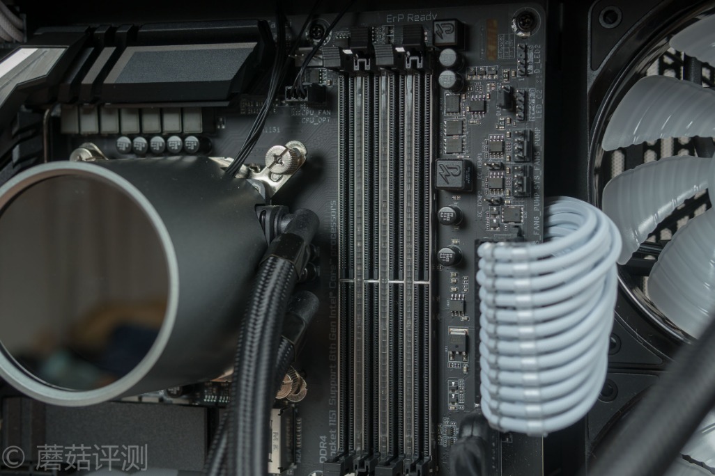 十铨deltargb,十铨team内存几线品牌