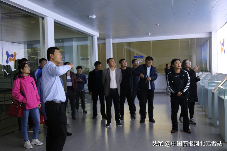 南和宠物食品央视曝光,南和宠物食品现状