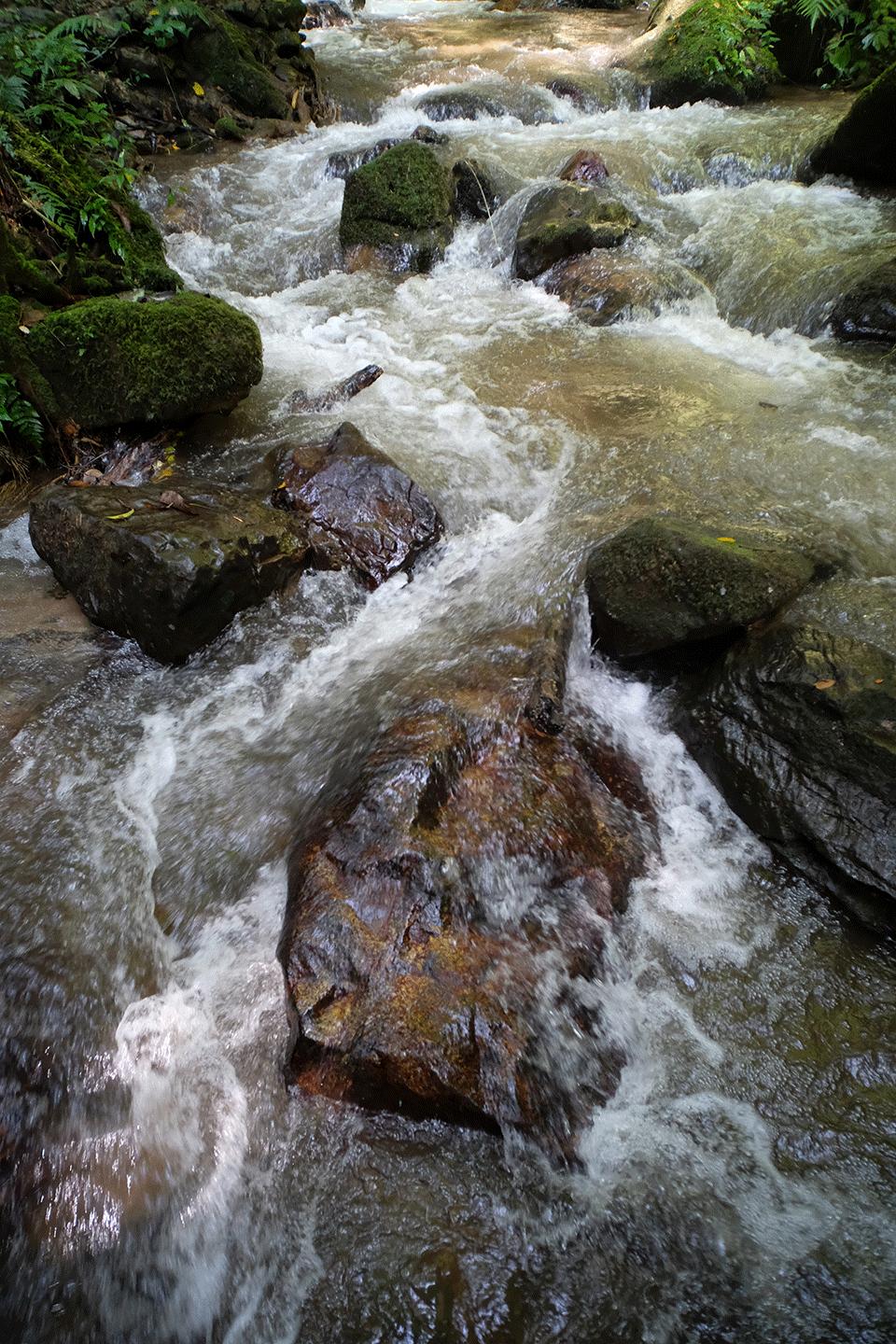 溪水潺潺心旷神怡,美景溪水潺潺
