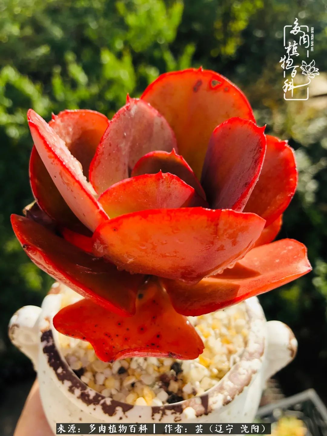 万物皆有灵性有因必有果,万物皆有灵性与生命