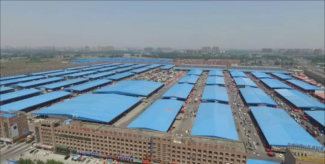 全国蔬菜批发市场十大排名图,全国各地大蔬菜批发市场现状