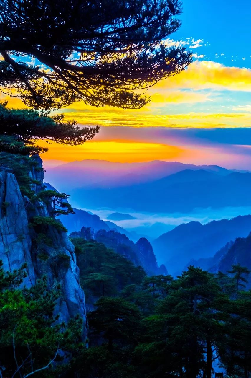 世界上最幸福的事400字,世界上最幸福的事情你做过几件