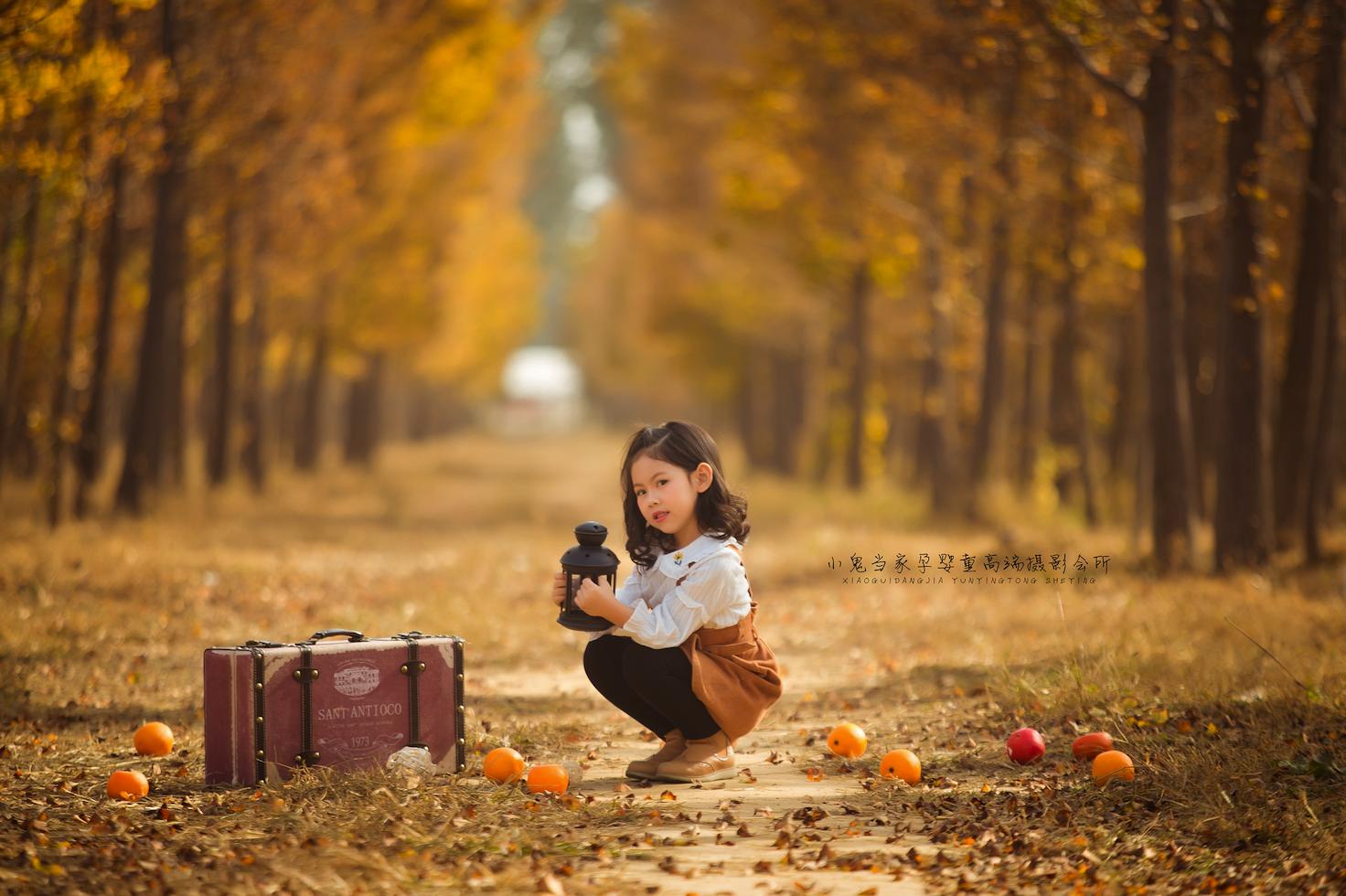 专业摄影师怎么选镜头,棚拍摄影师选择什么镜头