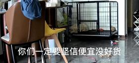 搞笑gif，哥们梦中初吻被狗子夺走了！实在没忍住笑
