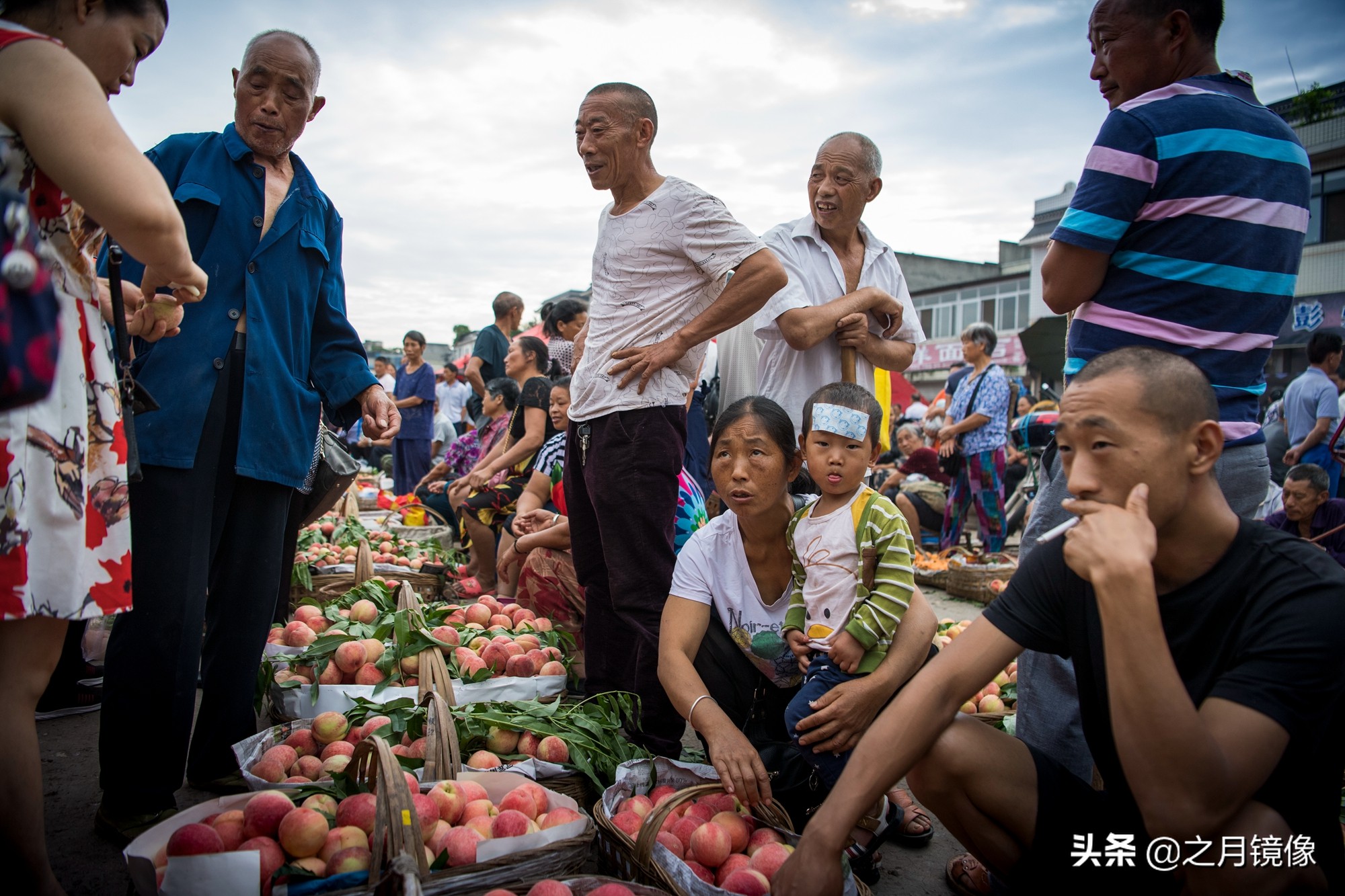 天府新区太平枇杷,成都太平枇杷批发市场