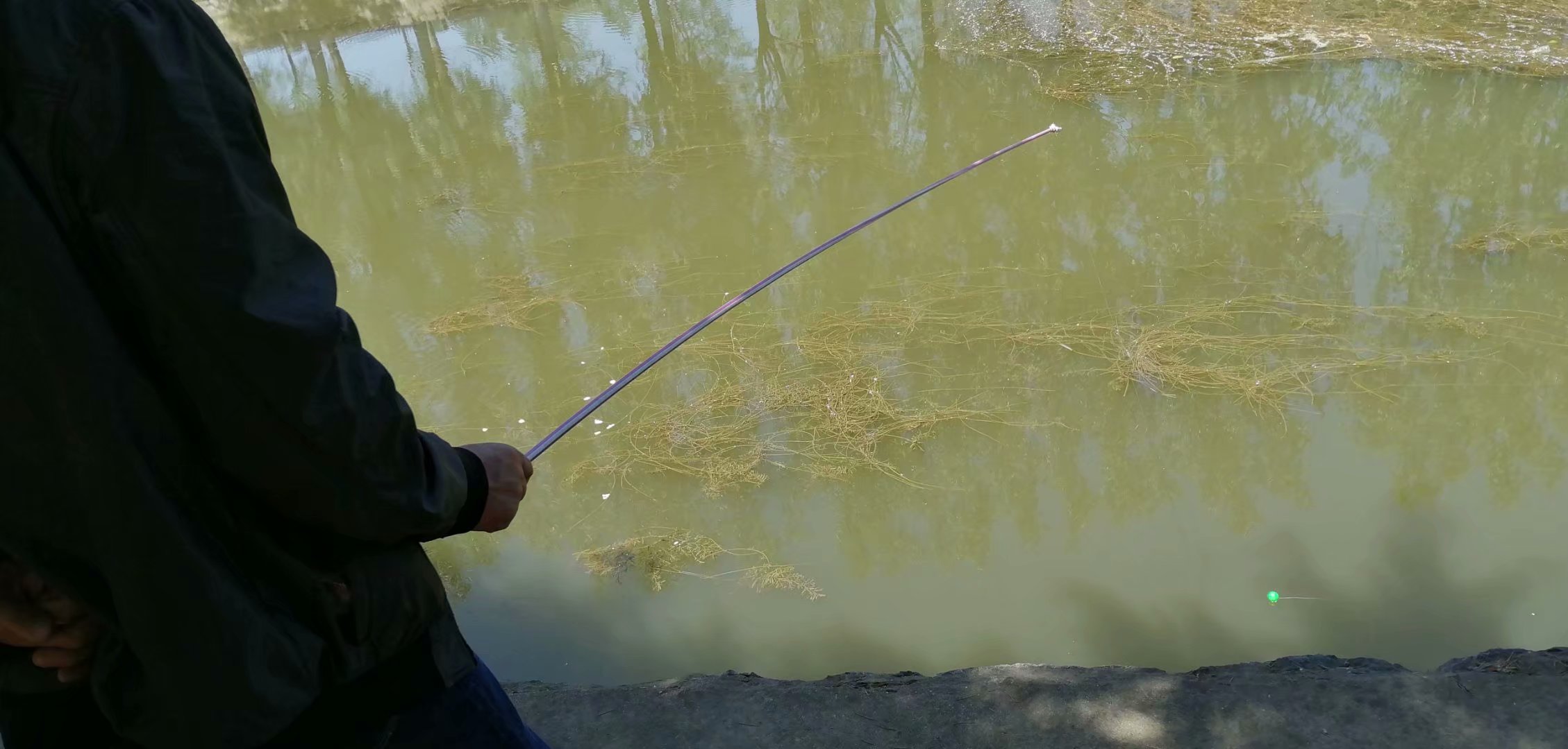 鲤鲫混养塘用什么饵料钓最好,小奶鲫特别多怎么钓