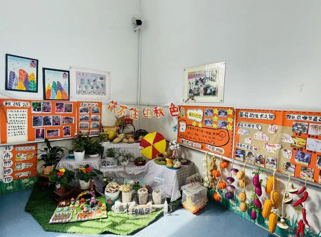 最美的风景美丽的校园,最美的风景就是校园