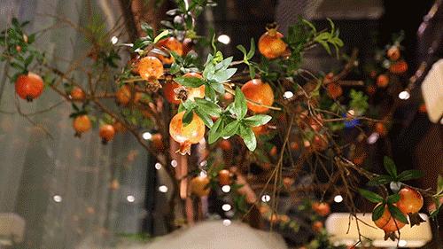 徐州云龙区酒店最美,徐州最美温泉酒店