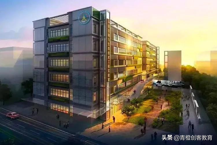 青橙设计工作室,成都青橙营地夏令营