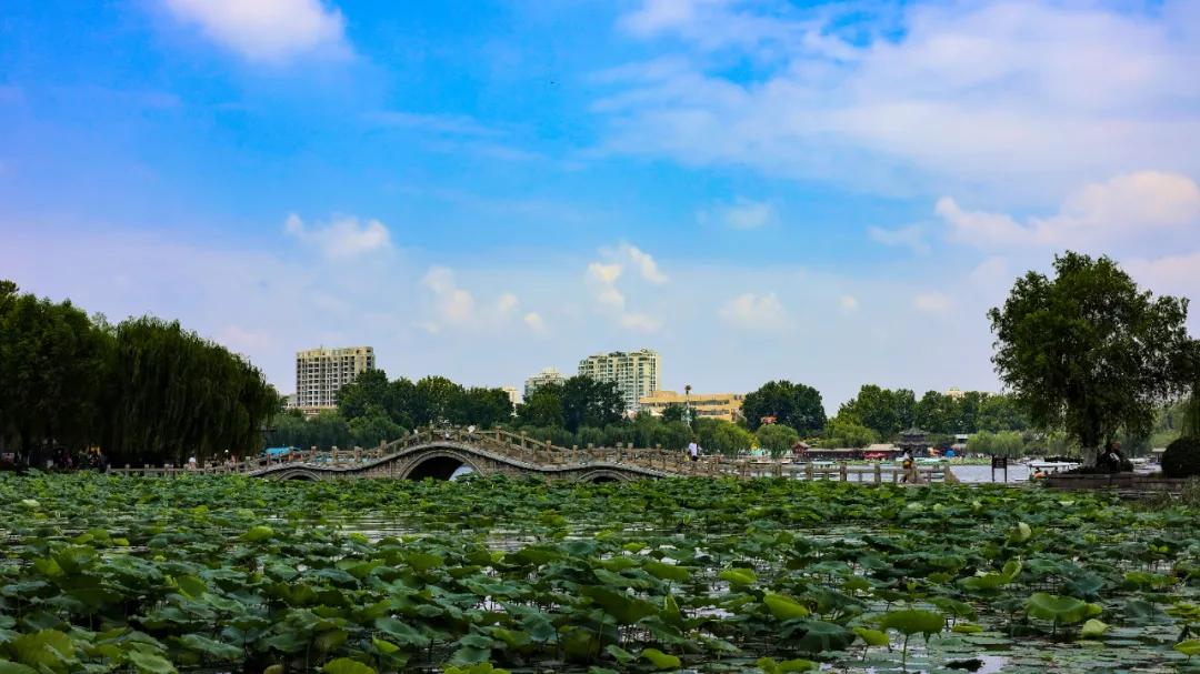 在济南花式避暑，一见“清”心！只需一瞥，便足以把酷夏原谅…