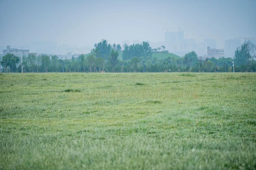 西安花海小森林,西安周边适合郊游野餐的地方