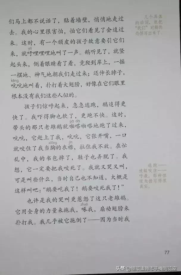 四年级上册语文电子课本,四年级上册语文课本内容