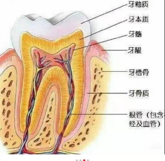 牙齿总是酸痛怎么解决,牙齿总是酸痛是什么原因造成的