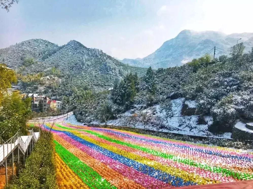 央视挖出来浙江冷门小城，小小鸭头都是世间绝味，人均100+住别墅