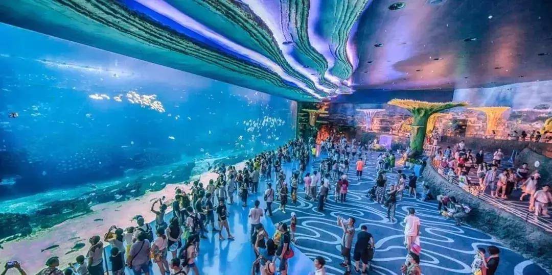 珠海｜游珠海长隆海洋王国+精品主题客栈+早餐+卜卜贝1份仅928