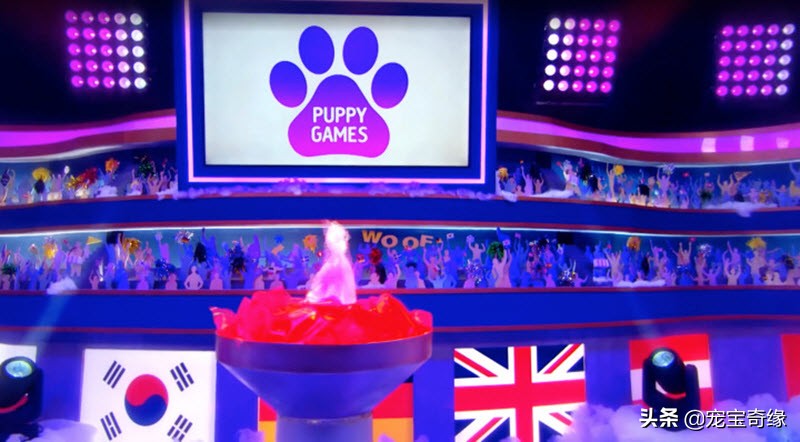 宠物全美大赛,美国奥兰多宠物展冠军