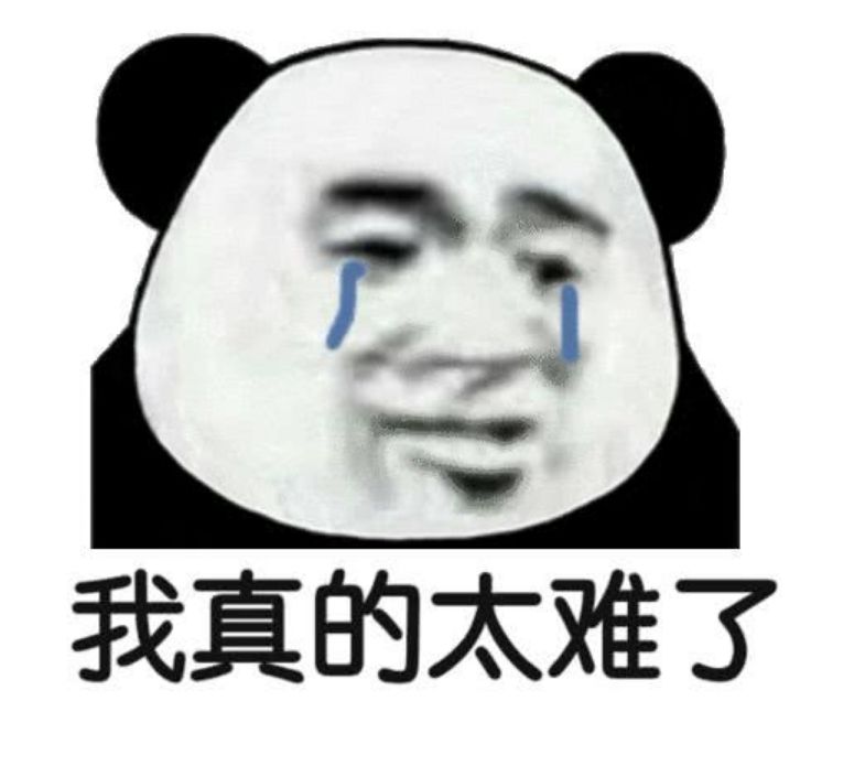 宇帷内存测评,宇帷ddr424008g内存条