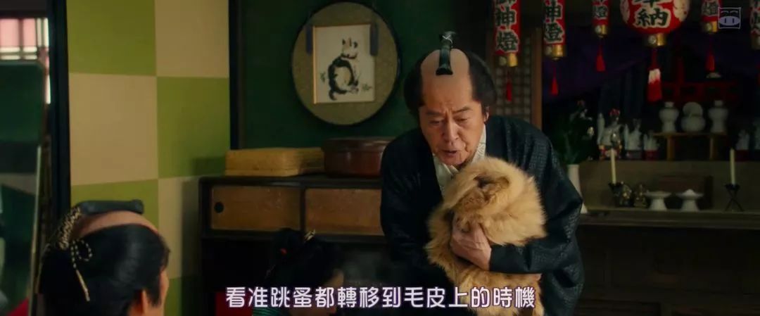 四倍速飙车，岛国男神的新片不同凡响