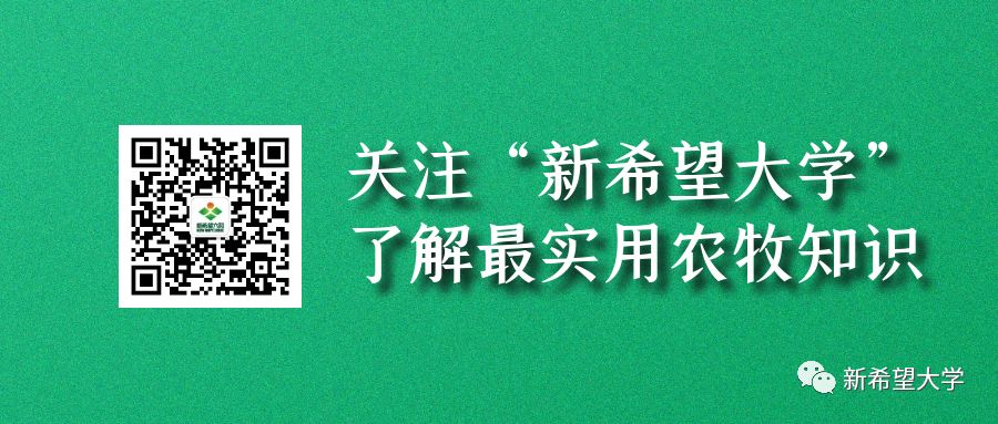 初生仔猪喘不吃奶是什么症状,初生仔猪不吃奶怎么办