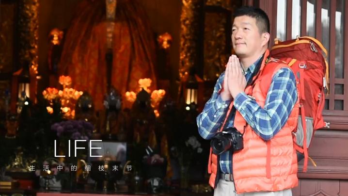 星湖冬日燃情，比落羽杉还要红的是什么？#我和湿地有个约会#