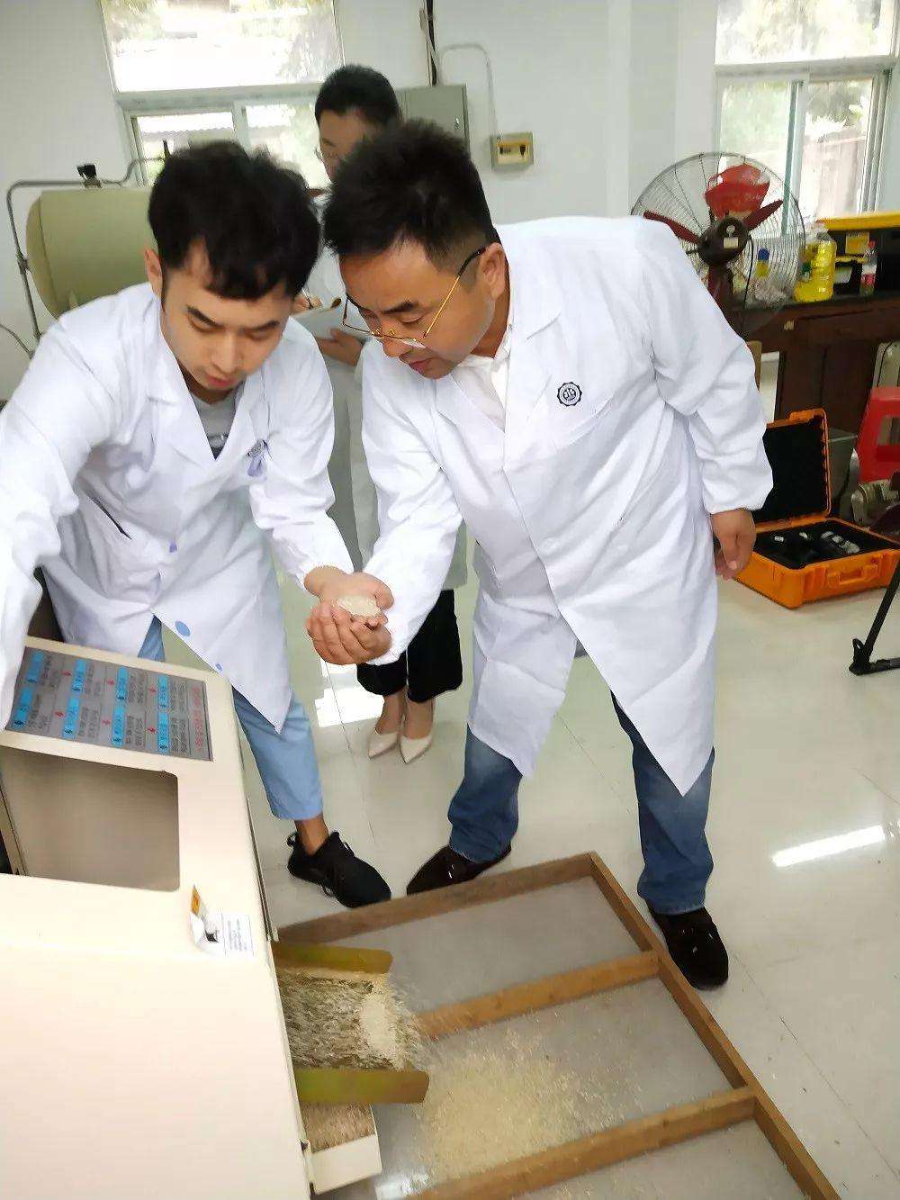 北京蒸谷米加工厂设备,蒸谷米加工设备生产商