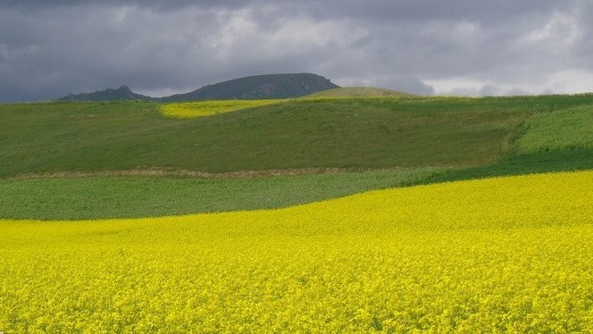 大西北甘青环线旅游游记,甘青宁蒙四省经典环线6日游