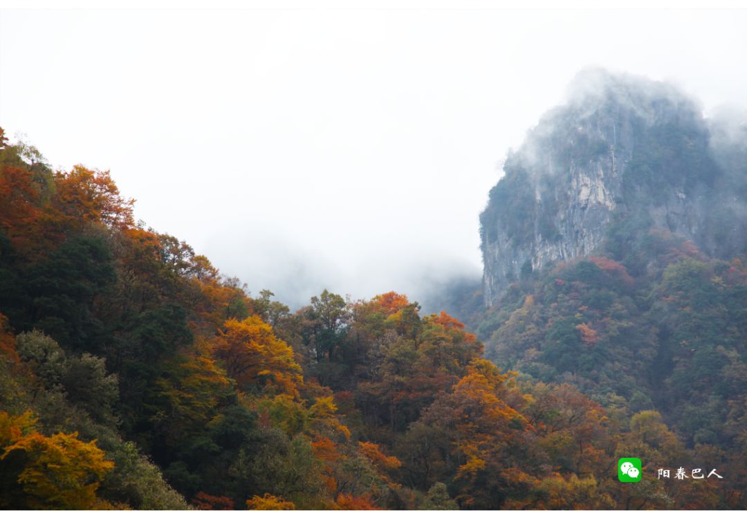 光雾山摄影,一位摄影师镜头下的中国