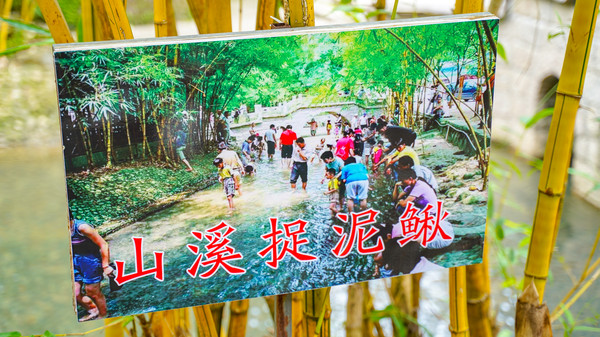 中山五桂山新开一家景区,中山五桂山都有哪些地方好玩的