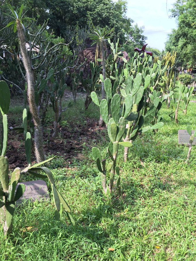 在这个阳光明媚的春季,在这个阳光灿烂的日子里