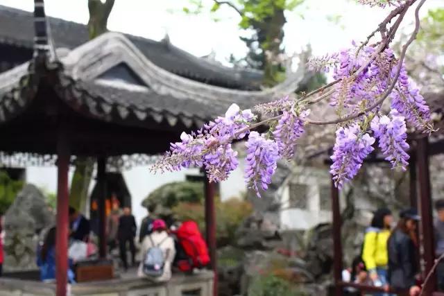 中国园林的诗情画意之美,虽由人作宛自天开的造园理念